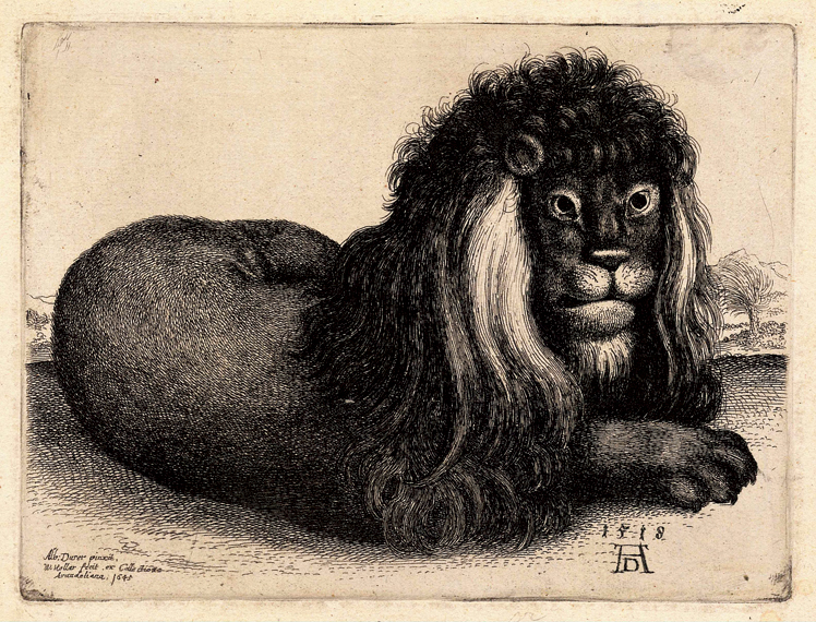   阿尔布雷特·丢勒Albrecht Dürer——素描与版画 (144)